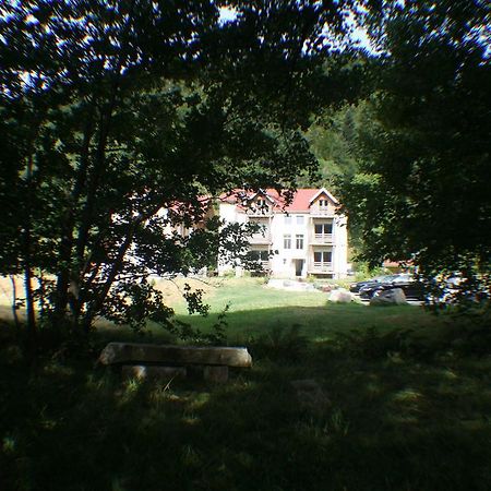 Residence Du Chateau Lublin La Bresse Luaran gambar