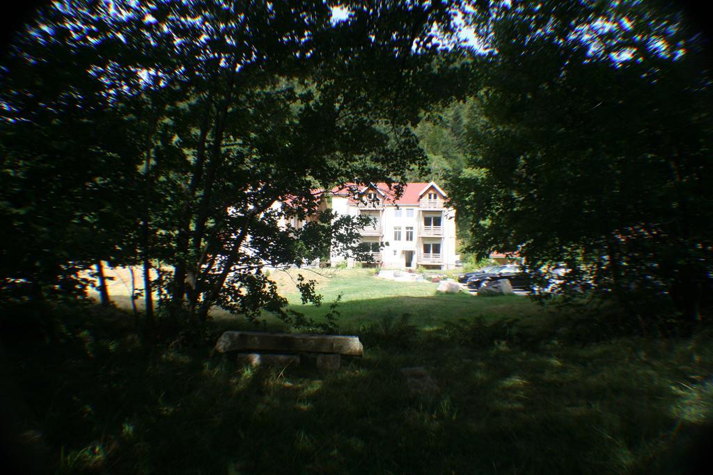 Residence Du Chateau Lublin La Bresse Luaran gambar